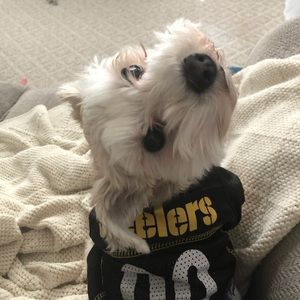 Meet your Posher, Jennifer